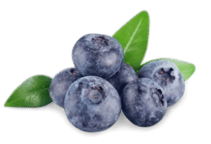 blueberries